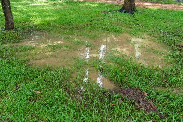 Storm Water Drainage Service in Burlington