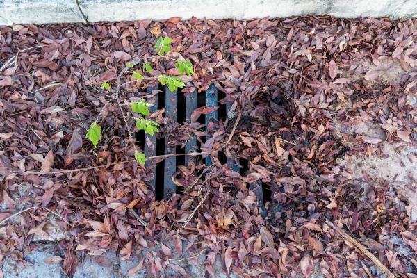 Yard Drain Unclogging in Burlington