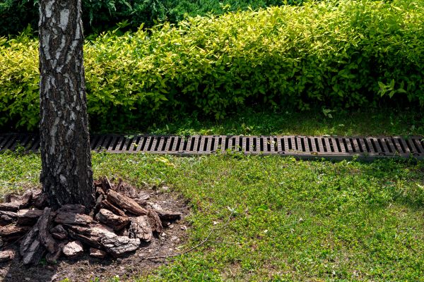 Garden Drainage Installation in Burlington