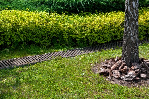Residential Landscape Drainage in Burlington