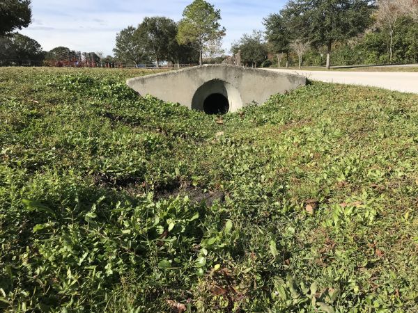 Cost of Swale Drainage Service in Burlington